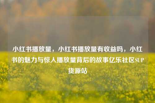 小红书播放量，小红书播放量有收益吗，小红书的魅力与惊人播放量背后的故事亿乐社区SUP货源站  第1张
