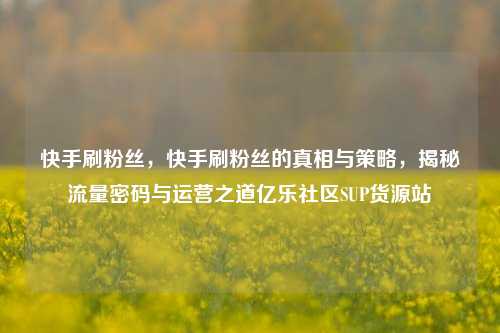 快手刷粉丝	，快手刷粉丝的真相与策略，揭秘流量密码与运营之道亿乐社区SUP货源站  第1张
