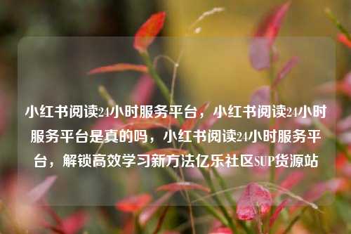 小红书阅读24小时服务平台，小红书阅读24小时服务平台是真的吗	，小红书阅读24小时服务平台，解锁高效学习新方法亿乐社区SUP货源站  第1张