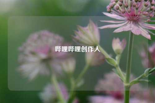 哔哩哔哩创作人  第1张