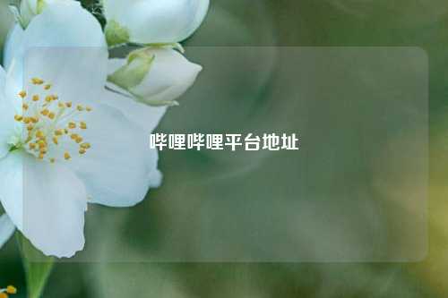 哔哩哔哩平台地址  第1张