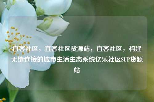 直客社区	，直客社区货源站，直客社区，构建无缝连接的城市生活生态系统亿乐社区SUP货源站  第1张