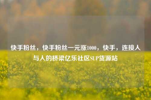 快手粉丝	，快手粉丝一元涨1000，快手，连接人与人的桥梁亿乐社区SUP货源站  第1张