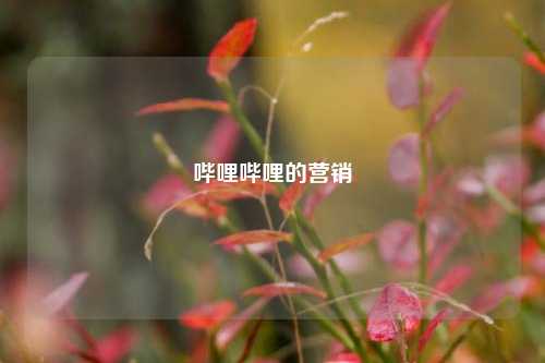 哔哩哔哩的营销  第1张