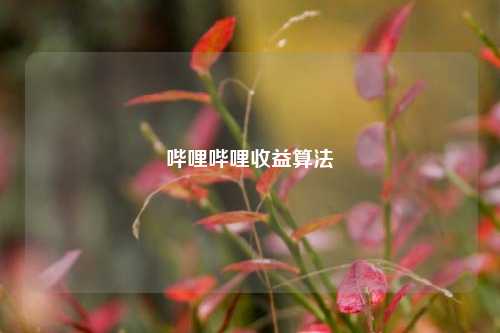 哔哩哔哩收益算法  第1张