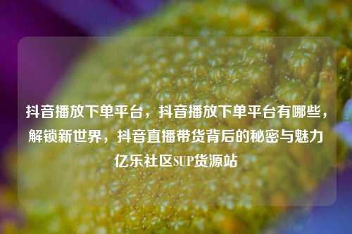 抖音播放下单平台，抖音播放下单平台有哪些，解锁新世界，抖音直播带货背后的秘密与魅力亿乐社区SUP货源站  第1张