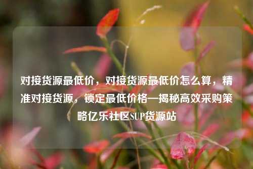 对接货源最低价	，对接货源最低价怎么算，精准对接货源，锁定最低价格—揭秘高效采购策略亿乐社区SUP货源站  第1张