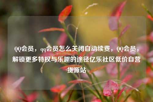 QQ会员，qq会员怎么关闭自动续费，QQ会员	，解锁更多特权与乐趣的途径亿乐社区低价自营货源站  第1张