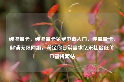 纯流量卡	，纯流量卡免费申请入口，纯流量卡，解锁无限网络	，满足你日常需求亿乐社区低价自营货源站  第1张