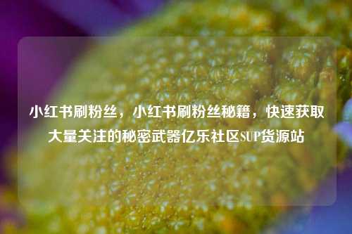 小红书刷粉丝	，小红书刷粉丝秘籍，快速获取大量关注的秘密武器亿乐社区SUP货源站  第1张