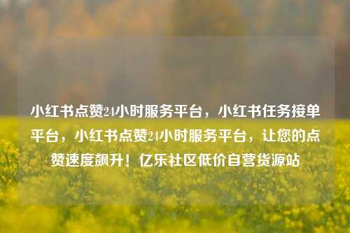 小红书点赞24小时服务平台，小红书任务接单平台，小红书点赞24小时服务平台	，让您的点赞速度飙升！亿乐社区低价自营货源站  第1张
