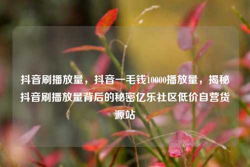 抖音刷播放量	，抖音一毛钱10000播放量，揭秘抖音刷播放量背后的秘密亿乐社区低价自营货源站  第1张
