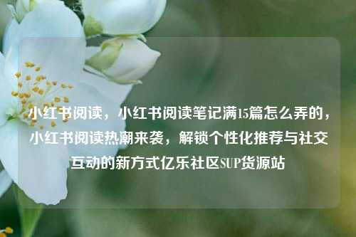 小红书阅读，小红书阅读笔记满15篇怎么弄的	，小红书阅读热潮来袭，解锁个性化推荐与社交互动的新方式亿乐社区SUP货源站  第1张
