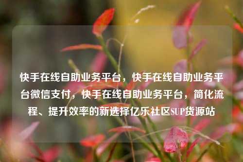 快手在线自助业务平台，快手在线自助业务平台微信支付，快手在线自助业务平台	，简化流程、提升效率的新选择亿乐社区SUP货源站  第1张
