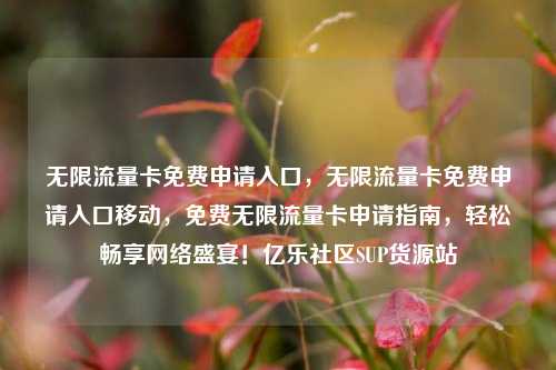 无限流量卡免费申请入口，无限流量卡免费申请入口移动，免费无限流量卡申请指南，轻松畅享网络盛宴！亿乐社区SUP货源站  第1张