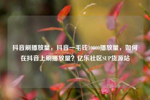 抖音刷播放量，抖音一毛钱10000播放量，如何在抖音上刷播放量？亿乐社区SUP货源站  第1张
