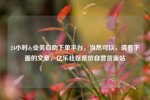 24小时dy业务自助下单平台，当然可以，请看下面的文章，亿乐社区低价自营货源站  第1张