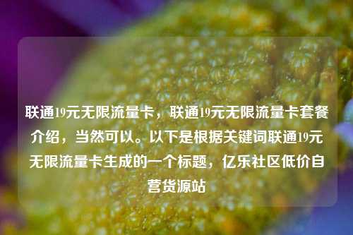 联通19元无限流量卡	，联通19元无限流量卡套餐介绍，当然可以。以下是根据关键词联通19元无限流量卡生成的一个标题，亿乐社区低价自营货源站  第1张