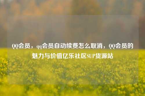 QQ会员	，qq会员自动续费怎么取消，QQ会员的魅力与价值亿乐社区SUP货源站  第1张