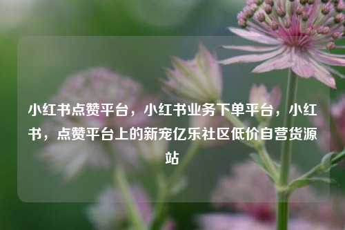 小红书点赞平台，小红书业务下单平台，小红书	，点赞平台上的新宠亿乐社区低价自营货源站  第1张