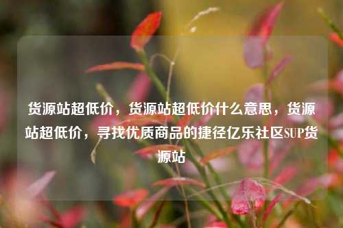 货源站超低价，货源站超低价什么意思	，货源站超低价，寻找优质商品的捷径亿乐社区SUP货源站  第1张