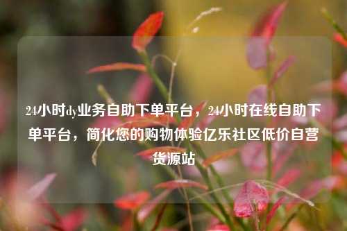 24小时dy业务自助下单平台	，24小时在线自助下单平台，简化您的购物体验亿乐社区低价自营货源站  第1张