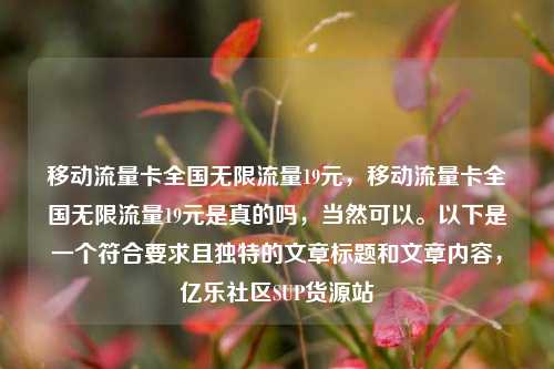 移动流量卡全国无限流量19元，移动流量卡全国无限流量19元是真的吗，当然可以	。以下是一个符合要求且独特的文章标题和文章内容，亿乐社区SUP货源站  第1张