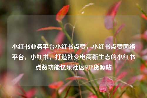 小红书业务平台小红书点赞	，小红书点赞网络平台，小红书，打造社交电商新生态的小红书点赞功能亿乐社区SUP货源站  第1张
