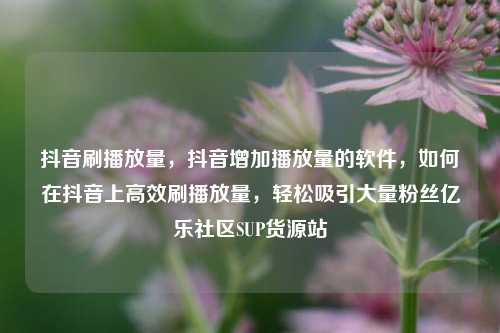 抖音刷播放量，抖音增加播放量的软件，如何在抖音上高效刷播放量	，轻松吸引大量粉丝亿乐社区SUP货源站  第1张