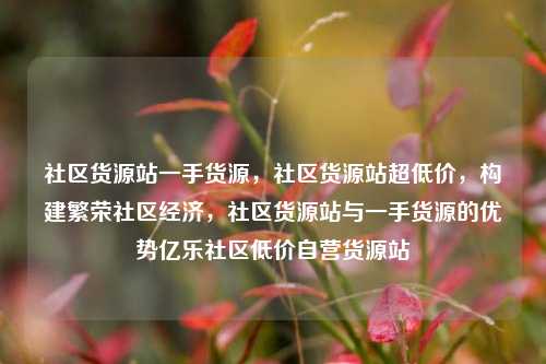 社区货源站一手货源，社区货源站超低价，构建繁荣社区经济	，社区货源站与一手货源的优势亿乐社区低价自营货源站  第1张