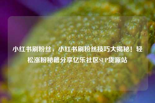 小红书刷粉丝	，小红书刷粉丝技巧大揭秘！轻松涨粉秘籍分享亿乐社区SUP货源站  第1张