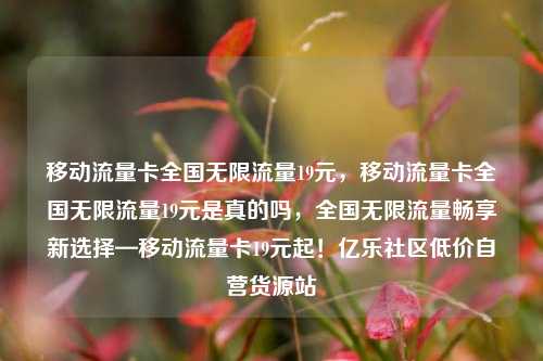 移动流量卡全国无限流量19元，移动流量卡全国无限流量19元是真的吗，全国无限流量畅享新选择—移动流量卡19元起！亿乐社区低价自营货源站  第1张