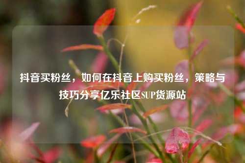 抖音买粉丝，如何在抖音上购买粉丝	，策略与技巧分享亿乐社区SUP货源站  第1张