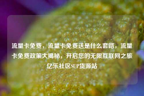 流量卡免费，流量卡免费送是什么套路，流量卡免费政策大揭秘	，开启您的无限互联网之旅亿乐社区SUP货源站  第1张