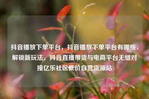 抖音播放下单平台	，抖音播放下单平台有哪些，解锁新玩法，抖音直播带货与电商平台无缝对接亿乐社区低价自营货源站  第1张