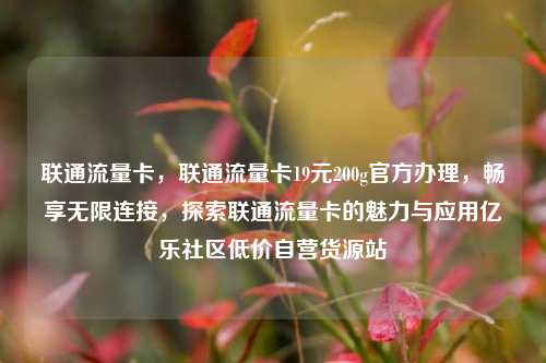 联通流量卡，联通流量卡19元200g官方办理，畅享无限连接，探索联通流量卡的魅力与应用亿乐社区低价自营货源站  第1张