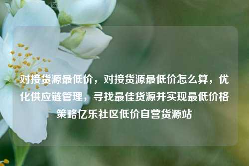 对接货源最低价	，对接货源最低价怎么算，优化供应链管理，寻找最佳货源并实现最低价格策略亿乐社区低价自营货源站  第1张