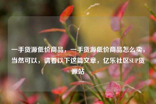 一手货源低价商品	，一手货源低价商品怎么卖，当然可以，请看以下这篇文章	，亿乐社区SUP货源站  第1张
