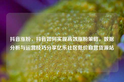 抖音涨粉，抖音如何实现高效涨粉策略，数据分析与运营技巧分享亿乐社区低价自营货源站  第1张