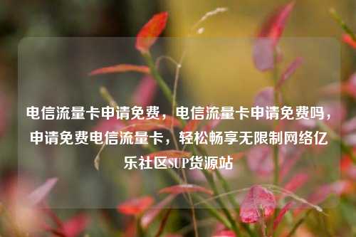 电信流量卡申请免费，电信流量卡申请免费吗，申请免费电信流量卡，轻松畅享无限制网络亿乐社区SUP货源站  第1张