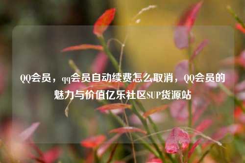 QQ会员，qq会员自动续费怎么取消，QQ会员的魅力与价值亿乐社区SUP货源站  第1张