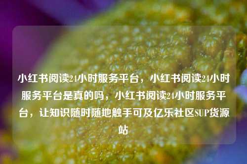 小红书阅读24小时服务平台，小红书阅读24小时服务平台是真的吗，小红书阅读24小时服务平台	，让知识随时随地触手可及亿乐社区SUP货源站  第1张