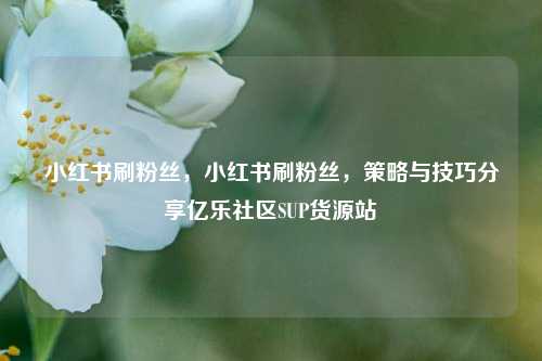 小红书刷粉丝，小红书刷粉丝	，策略与技巧分享亿乐社区SUP货源站  第1张