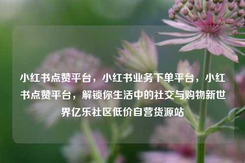 小红书点赞平台，小红书业务下单平台，小红书点赞平台，解锁你生活中的社交与购物新世界亿乐社区低价自营货源站  第1张