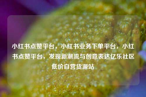 小红书点赞平台，小红书业务下单平台，小红书点赞平台	，发现新潮流与创意表达亿乐社区低价自营货源站  第1张