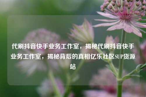 代刷抖音快手业务工作室，揭秘代刷抖音快手业务工作室，揭秘背后的真相亿乐社区SUP货源站  第1张
