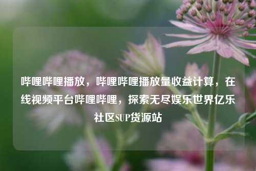哔哩哔哩播放，哔哩哔哩播放量收益计算，在线视频平台哔哩哔哩	，探索无尽娱乐世界亿乐社区SUP货源站  第1张