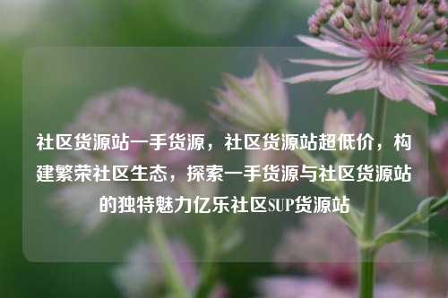 社区货源站一手货源	，社区货源站超低价，构建繁荣社区生态，探索一手货源与社区货源站的独特魅力亿乐社区SUP货源站  第1张