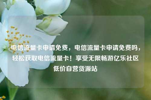 电信流量卡申请免费，电信流量卡申请免费吗，轻松获取电信流量卡！享受无限畅游亿乐社区低价自营货源站  第1张