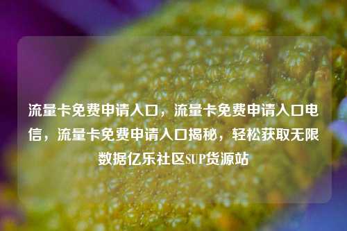 流量卡免费申请入口	，流量卡免费申请入口电信，流量卡免费申请入口揭秘，轻松获取无限数据亿乐社区SUP货源站  第1张